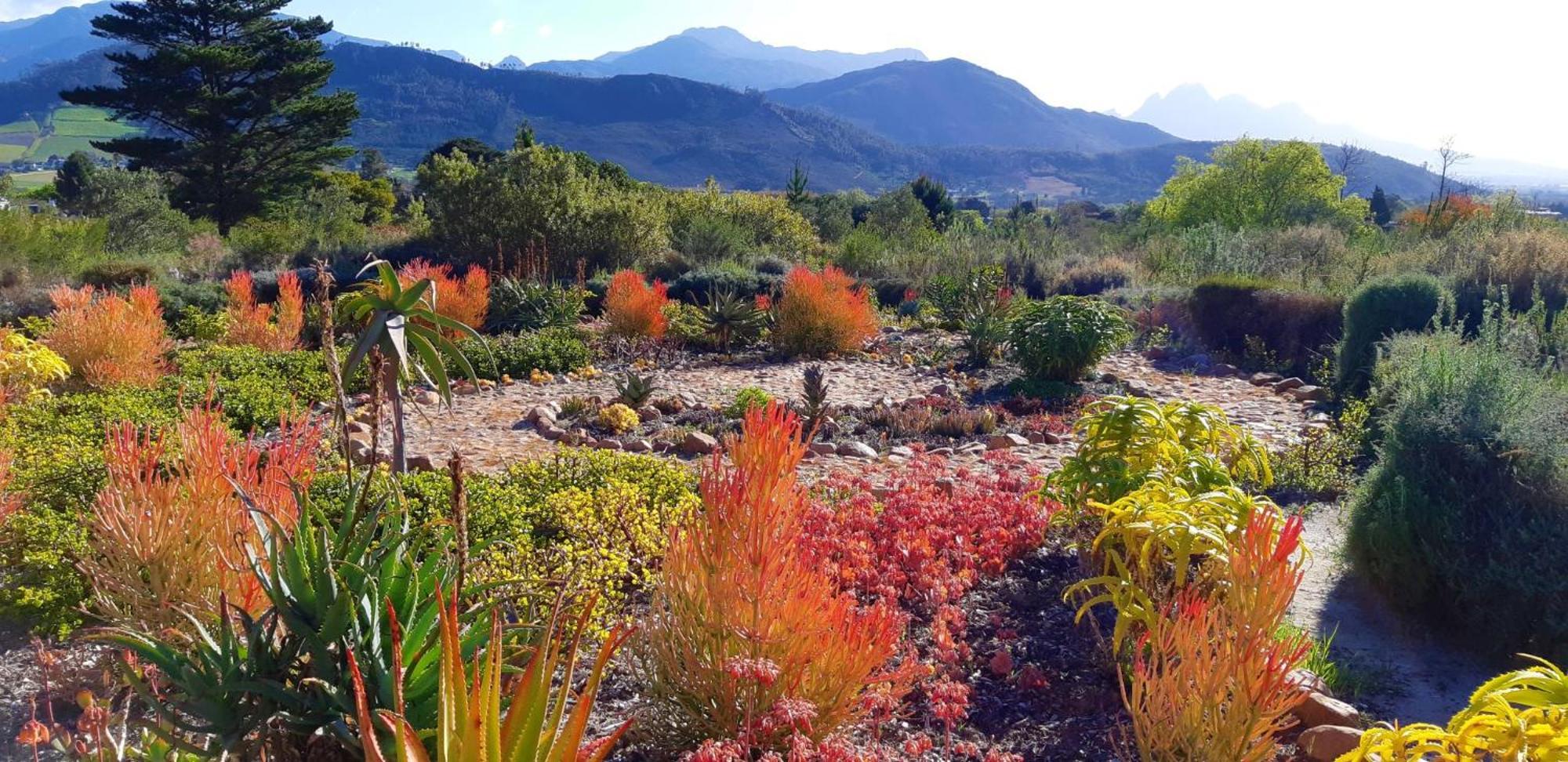 Gecko Cottage At Artemis Franschhoek Dış mekan fotoğraf