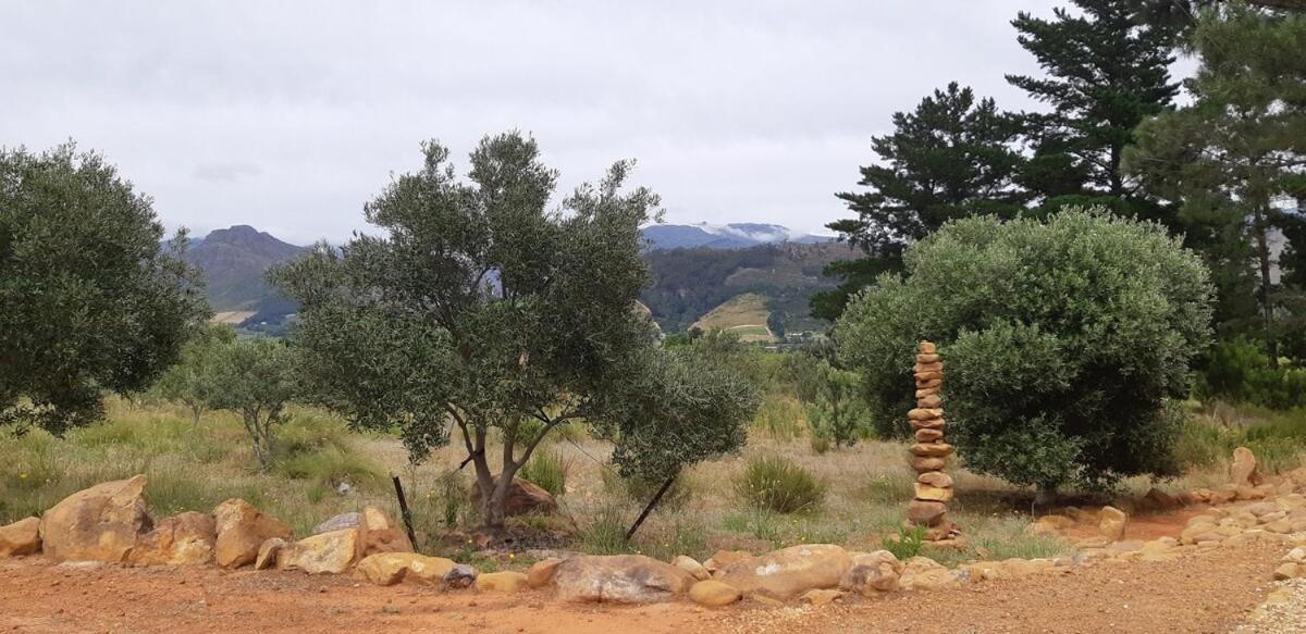 Gecko Cottage At Artemis Franschhoek Dış mekan fotoğraf